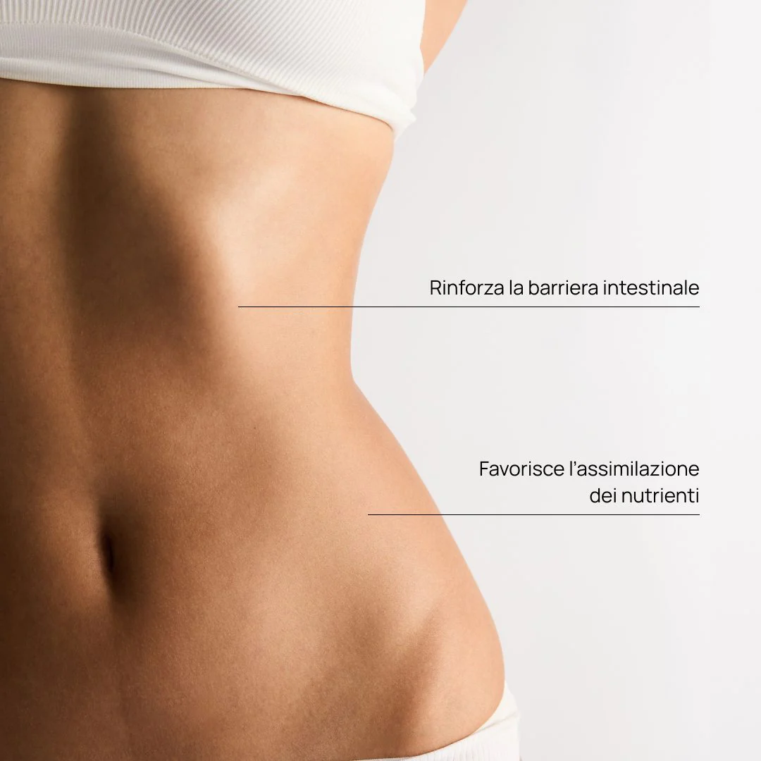 Trio Complément alimentaire L-Glutamine, Barrier+™ - Image 11