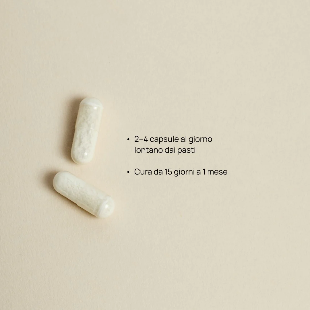 Trio Complément alimentaire L-Glutamine, Barrier+™ - Image 13